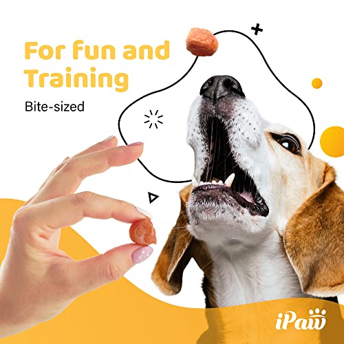 iPaw Turkey Tots Dog Treat, SQF-Certified Production Process,Training Treat - size: 3.5 Ounce (Pack of 3), style: Turkey Tots