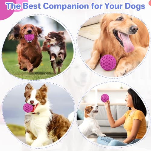 DISSKNIC Tough Squeaky Dog Balls Puppy Toys, Interactive Dog Toys for Small Dogs, Puppy Chew Toys for Teething and Relax, Dogs Chew Toy Small Balls Dog Toys for Small Breed, Outdoor Dog Toy for Dogs - color: Rose Red, size: Small
