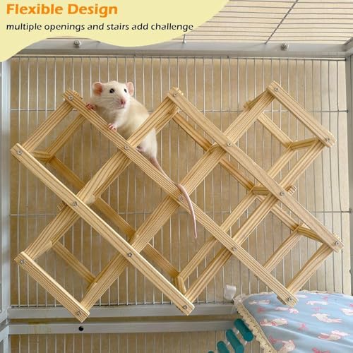 Kiln-Dried Wood Rat Climb Toy, Hanging Cage Ladder Activity (L, 1pc) - style: L, 1pc