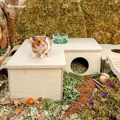 Niteangel Multi-Chamber Hamster House Maze: 1 Entrance 3 Rooms Maze Habitat - size: 3-Room Large