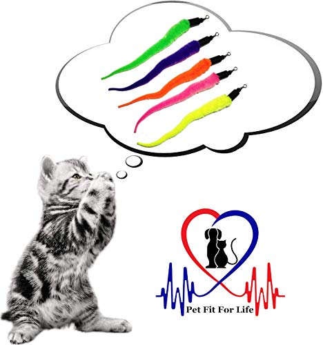 Pet Fit For Life 5 Piece Replacement Pack of Worms for Cat and Kitten Toy - style: 5 Squiggly Worms