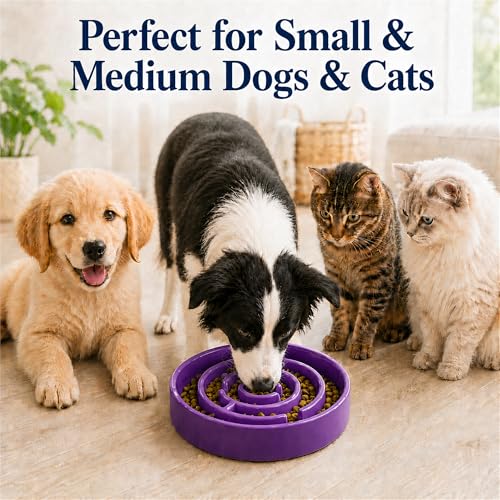 Ceramic Slow Feeder Dog Bowl, 1.5 Cup Puzzle Dish for Small Medium Dogs - color: Ceramic-Purple