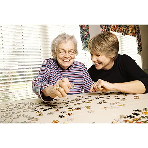 SunsOut Summer School 500 Large Piece Adult Jigsaw Puzzle 28497