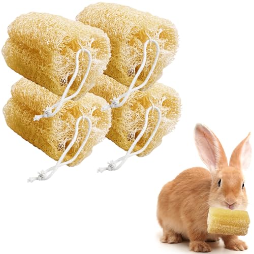 4 Pcs Rabbit Chew Toys Natural Bunny Loofah Chew Toy Chinchilla Teeth Grinding Toys Guinea Pig Fibre-Rich Treats Enrichment Bunny Accessories for Rabbits Hamster (L) - color: L- (4 PCS)