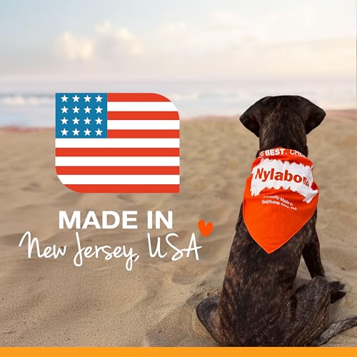 Nylabone Puppy Chew Teething Bone Dog Chew Toy, Chicken Flavor, Medium - color: Teething Bone, size: Medium