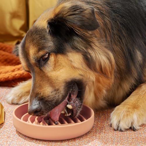 Slow Feeder Dog Bowl - Silicone Dog Bowl, Medium, 7.5" x 1.5" - Blush - color: Blush - Rainbow Design, size: Medium (7.5” Across x 1.5” Tall)