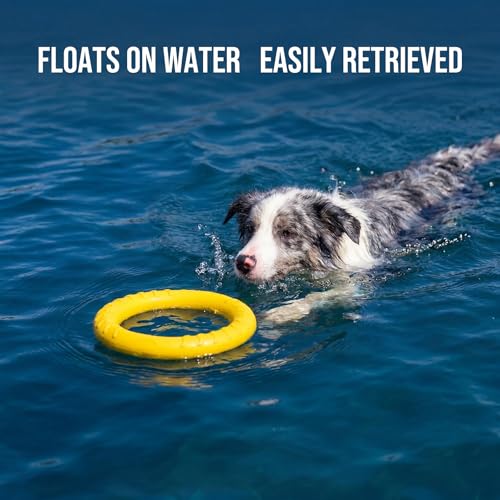 Dog Toys, Dog Chew Toys for Aggressive Chewers,Flying Discs for Medium/Large Breeds. Floating Dog Ring Toys for Throwing, Catching, Grabbing. (Large) - size: Large