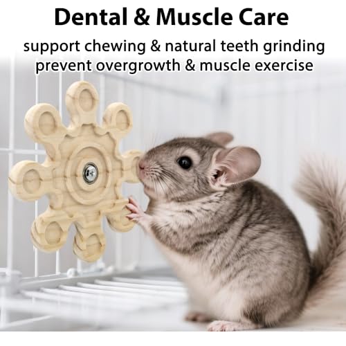 2Pcs Rotating Chinchilla Chew Toys, Kiln-Dried Wood for Teeth Care - color: 2pcs, size: Small