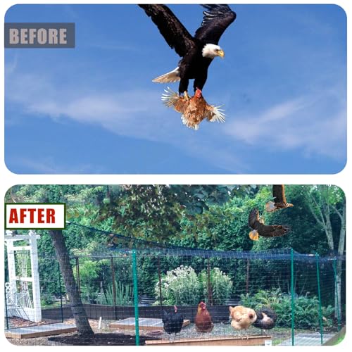 Bird Netting for Chicken Coop Run, 25x50 Ft Heavy Duty Poultry Netting - size: 2.4", 25' x 50'