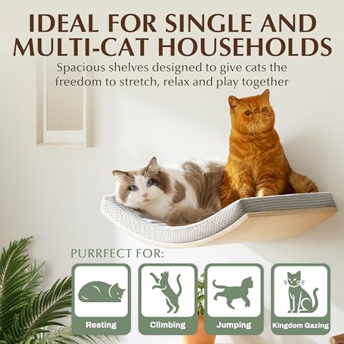 Extra Large 23.6”×14.6” CALLICO HAVEN- Stylish Cat Wall Shelves with Curved Design, Modern Wall-Mounted Cat Tree Hammock with Soft Cushion, Sturdy/Hidden Mounts, Washable Cover, Sleek Design -C Shape