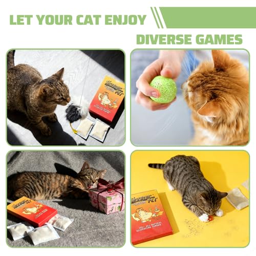 10 Pack Silvervine Powder Packets for Cat Toys,Organic Gall Fruit Powder(Matatabi),Refillable Catnip Toys Biodegradable, Non-GMO, Chemical-Free Refill Packs for Cats - size: 10 PACK