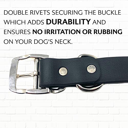 Regal Dog Products Waterproof Dog Collar, Nickel Double Buckle, Large Black - color: Black, size: Large