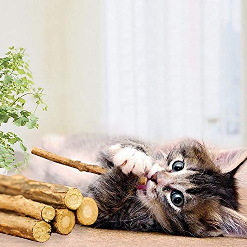 WoLover 25 PCS Silvervine Sticks for Cat, Natural Matatabi Chew Toys - size: 25 Count