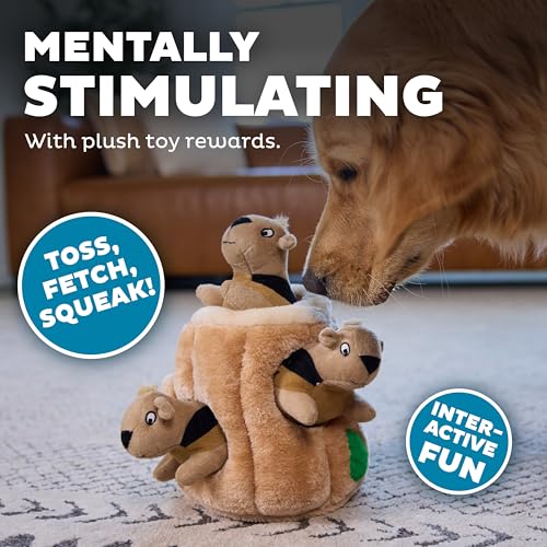 Outward Hound Hide-A-Squirrel Plush Squeaky Dog Toy, Large, 10.5" x 7.5"