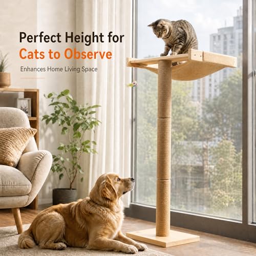 Cat Window Perch with Scratching Post, 46-Inch Tall Climbing Tree & Hammock - size: standard