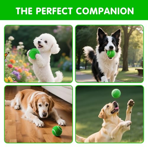 PHOEPET 6-Pack Tennis Balls for Beginner Training Practice- Bulk Dog Balls - color: Green-6 Pack, size: Medium 2.5"- 6 Pack