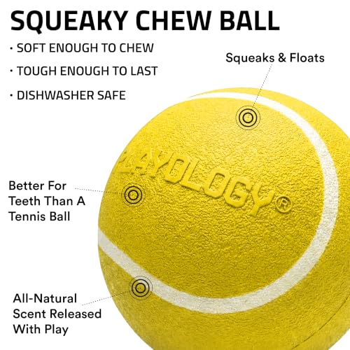 Playology Squeaky Chew Ball Dog Toy - Medium, Chicken Scent - size: Medium, style: Chicken