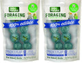 Wild Harvest Foraging Instincts Peck n’ Play Interactive Treat, 2 Ounce, for Small Birds (Pack of 2) - size: 2 Ounce (Pack of 2)
