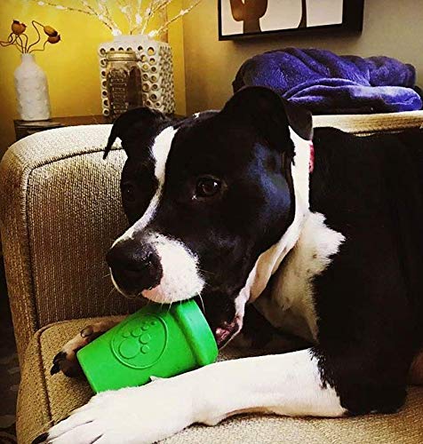 SodaPup Coffee Cup – Durable Dog Treat Dispenser & Chew Toy Made in USA from Non-Toxic, Pet Safe, Food Safe Natural Rubber Material for Mental Stimulation, Problem Chewing, Calming Nerves, & More