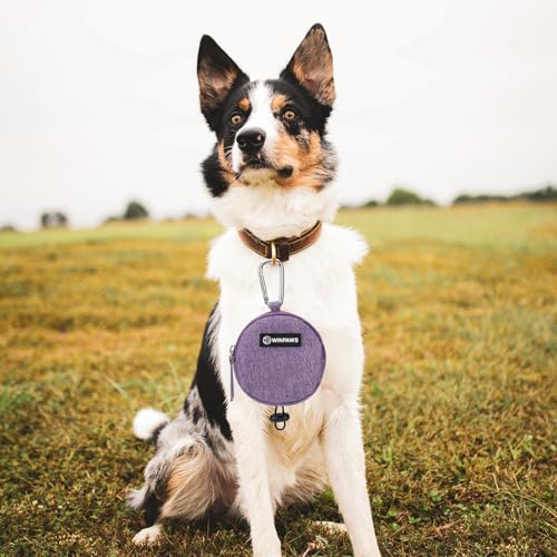 Dog Poop Bag Holder for Leashes- Dog Treat Pouch with Waterproof Zipper,Puppy Training Small Bag with Carabiner & Bungee Toggle,Two Pockets for Dry or Wet Treats-Pet Travel Walking Essentials (Purple) - color: Purple