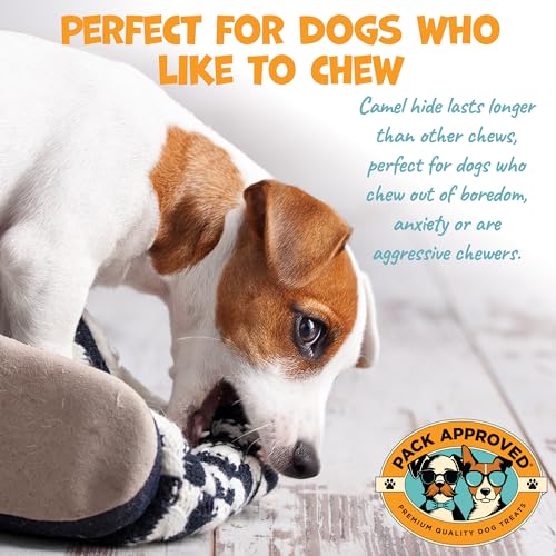 Pack Approved Camel Skin Dog Chews for Aggressive Chewers - 12" Stick, 3ct