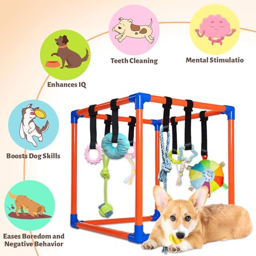 Puppy Play Gym with 9 Hanging Toys for Small Dogs, PVC Frame with Bungee Straps, Interactive Indoor Jungle Playground for Entertainment, Teething and Mental Stimulation - color: Orange, size: 9 Toys
