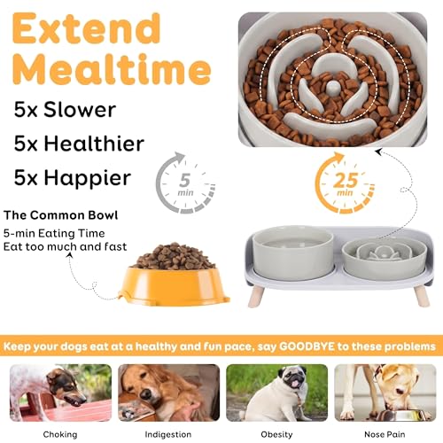 Elevated Slow Feeder Dog Bowls with Splash Proof Stand, Slow Eating 5X - color: Grey
