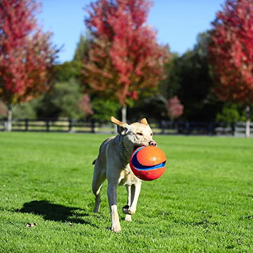 Chuckit! Kick Fetch Ball Dog Toy - Floats in Water - Perfect for Interactive Play - Made with Durable Rubber and Foam - for Large Dogs - Size Large - 8-inch Diameter - 1 Count (Pack of 4) - size: Large (Pack of 4), style: Classic