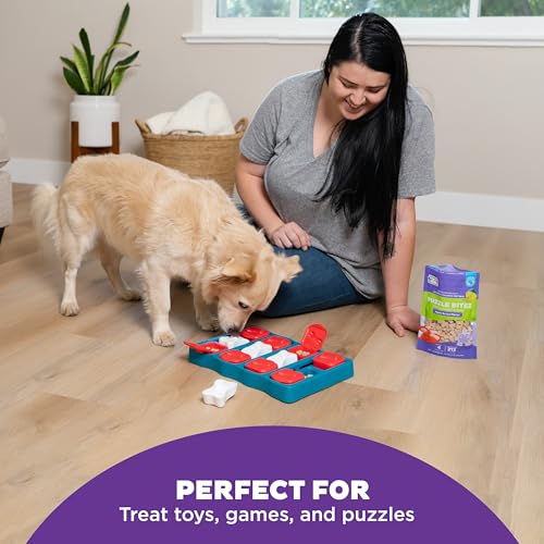 Outward Hound Nina Ottosson Puzzle Bitez Dog Treats, Apple Bacon, 7.5 Ounce (Pack of 6) - size: 7.5 Ounce (Pack of 6), style: Apple Bacon