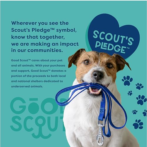 Scout Tugg Frisbee - Dog Toy for Tugging, Chewing & Fetch - Aggressive Chew Toy for Medium & Large Dogs - style: Tugg Frisbee