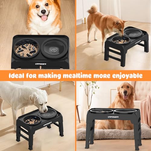 URPOWER Raised Dog Bowls 4 Height Adjustable Elevated Bowl Stand - color: Matte Black