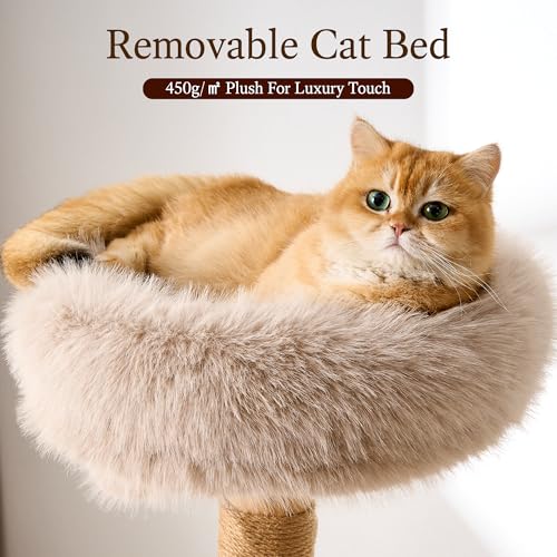 HITTITE Natural Wood Cat Tree Tower with Scratching Post, 53.5 Inches Tall Modern Cat Tower with Cozy Bed and Condo, Luxury Real Branch Cat Tree for Indoor Cats Large Adult, Khaki. - color: 53"-Khaki