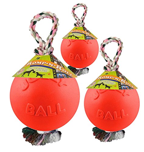 Jolly Pets Romp-n-Roll Rope and Ball Dog Toy, 8 Inches/Large, Orange - color: Orange, size: Large (8 in)