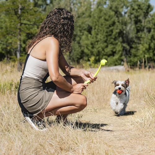 Chuckit! Air Fetch Ball Dog Toy, Medium (2.5 Inch Diameter), for Dogs 20-60 lbs, Ball - Medium,2 Count (Pack of 12) - size: Ball - Medium (Pack of 12)