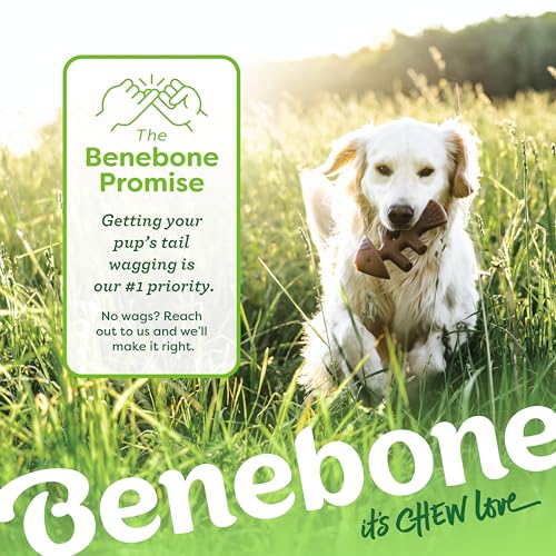 Benebone 2-pack Fishbone/Wishbone Durable Dog Chew Toys, Dog Bones, Small - size: Small, style: Fishbone/Wishbone
