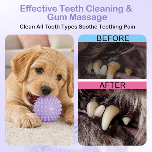 6 Pack Dog Chew Toys, Purple, Small Dog Teething Toys, Soft Durable Interactive Toys for Puppies - color: Purple, size: Small（6Pack）