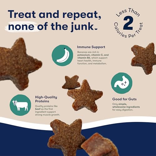 Jinx Dog Training Treats, Bite-Sized Training Treats for Dogs, Beef, 4oz - size: 4 Ounce (Pack of 1)