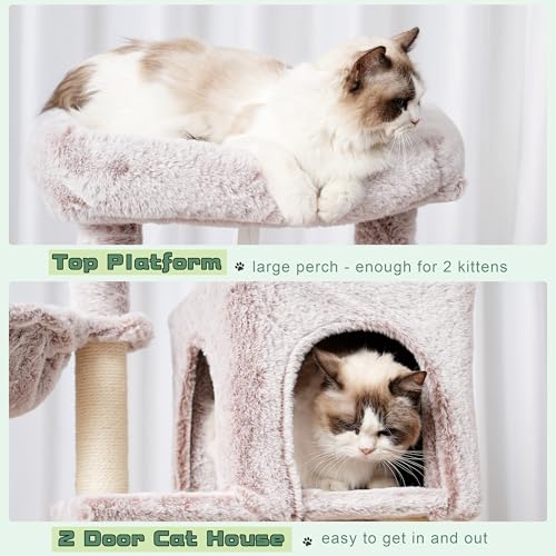 Gitelsnour Cat Tree, 43.3'' Cat Tower with Hammock for Kittens GCT004SMU - color: Muchroom, size: 43.3 inches