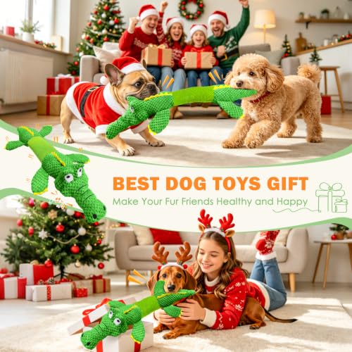 WOWBALA Dog Squeaky Toys Stretchable Crocodile for Interactive Tug of War - color: Green
