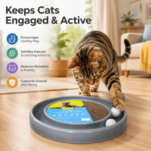 Cat Scratcher Toy Ball Track (Gray) - color: Gray