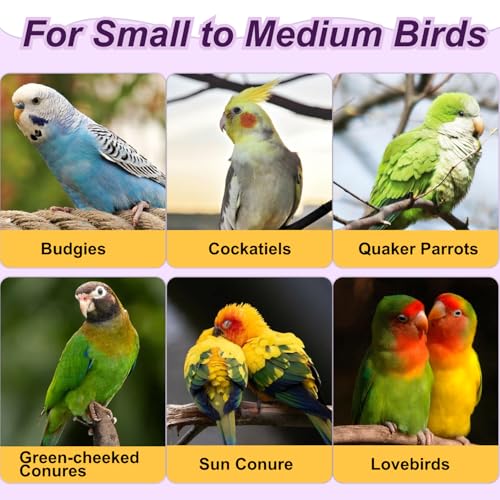 3-Ring Bird Wooden Swing with Bell Climbing Toy Chewable Cotton Rope Perch