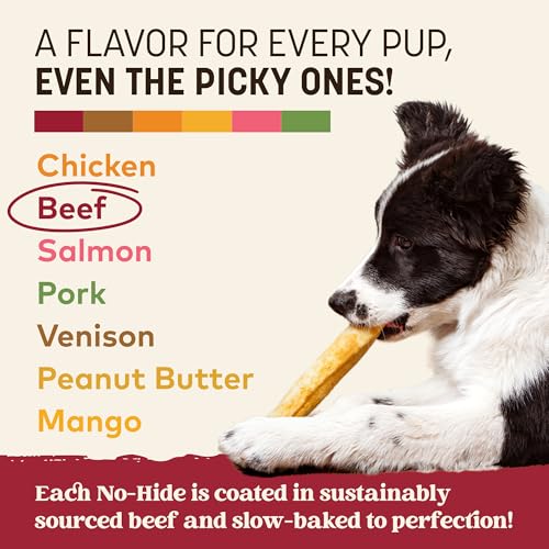 Earth Animal No Hide Dog Chews - Rawhide Free Medium Rolls 3 Count Beef - size: 3 Count (Pack of 1)