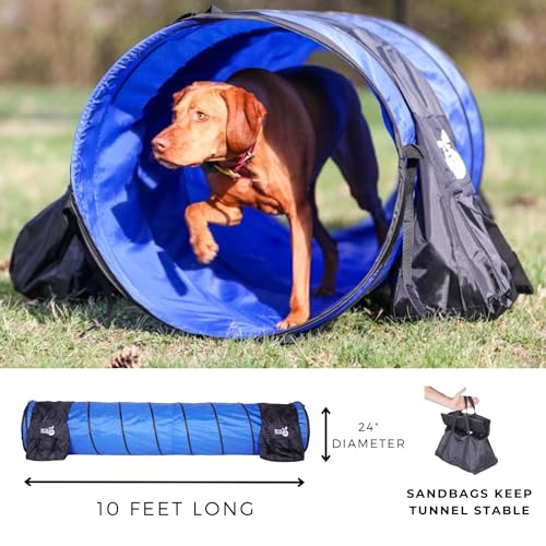 Better Sporting Dogs Complete Starter Agility Set for Dogs, 5 Piece