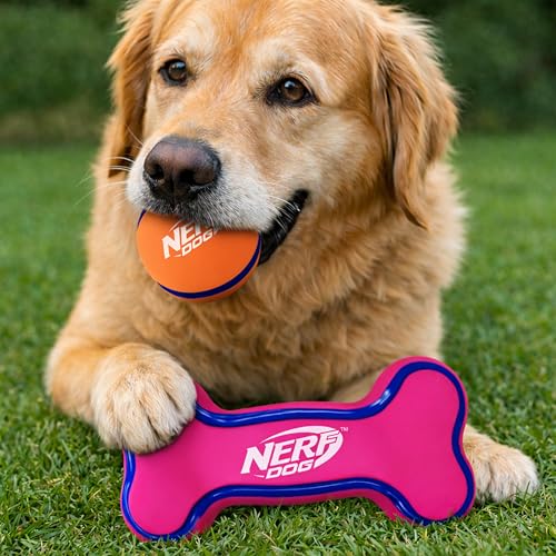 Nerf Dog 2.5in Latex Squeak Ball and 5in Latex Squeak Bone 2-Pack -Pink/Blue and Orange/Blue - size: Medium