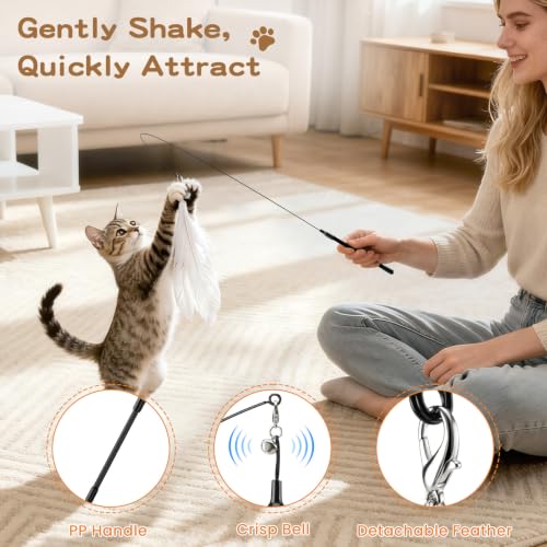 Pawaboo 6Pcs Cat Feather Wand Toy Set for Indoor Cats Self Play & Exercise - color: Z-Black + White