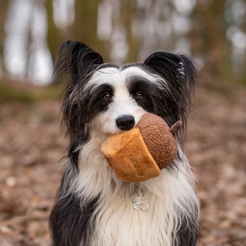 CHEWFFON Interactive Dog Toy, Enrichment Crinkle Treat Puzzle Toys - style: Acorn