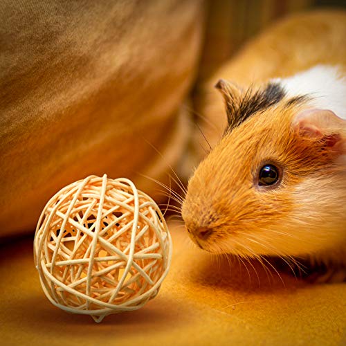 8 Pcs Small Animals Play Balls Rolling Activity Chew Toys Gnawing Treats for Rabbits Guinea Pigs Chinchilla Bunny Natural Balls, Pet Cage Entertainment Accessories (8 Pcs+ Pine Cone) - color: 8 Pcs+ Pine cone
