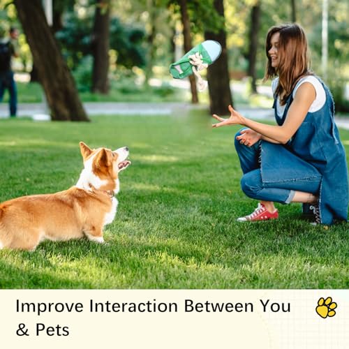 vocheer Dog Chew Toy, Dog Toys to Keep Them Busy Durable Teething Shoe Interactive Squeaky Puppy Toy,Small,Medium Breze, Machine Washable(Green) - color: Green