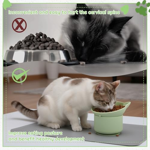 2Pack Slow Feeder Cat Bowls Silicone Tilted Raised Pet Bowl - color: Gray, Green
