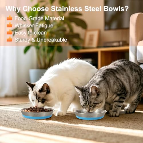 6 Pack Blue 304 Stainless Steel Shallow Whisker Fatigue Cat Bowls - color: Blue, size: 6Pcs